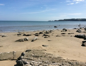 Close to the beach at Wiseman's Bridge