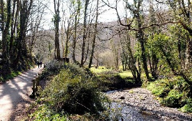 Lovely woodland walk to the beach at Wiseman's Bridge